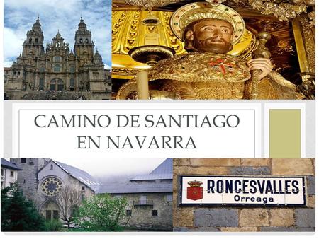CAMINO DE SANTIAGO EN NAVARRA
