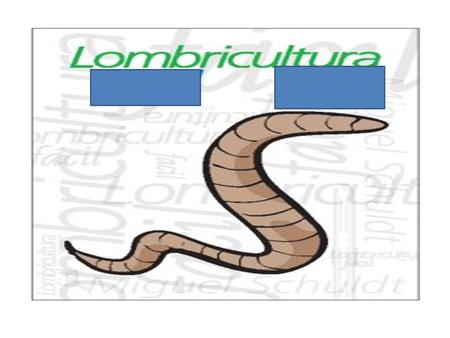 Se entiende por lombricultura las diversas operaciones relacionadas con la cría y producción de lombrices y el tratamiento, por medio de éstas, de residuos.