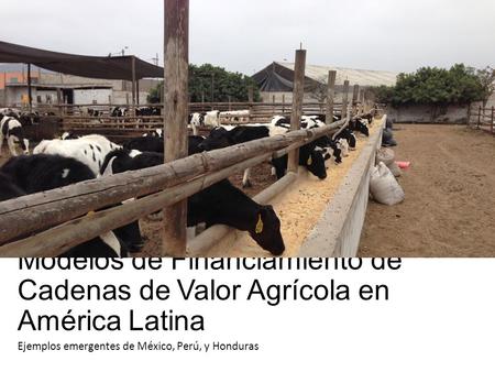 Ejemplos emergentes de México, Perú, y Honduras