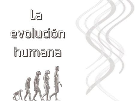 Cuáles son nuestros orígenes. Cómo eran nuestros antepasados