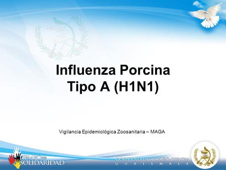Influenza Porcina Tipo A (H1N1)