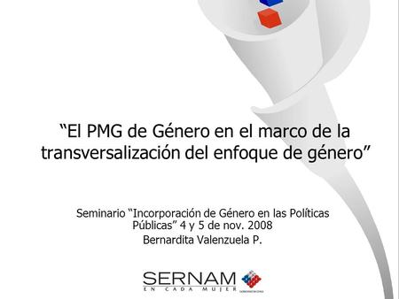 “El PMG de Género en el marco de la transversalización del enfoque de género” Seminario “Incorporación de Género en las Políticas Públicas” 4 y 5 de nov.