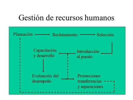 Gestión de recursos humanos