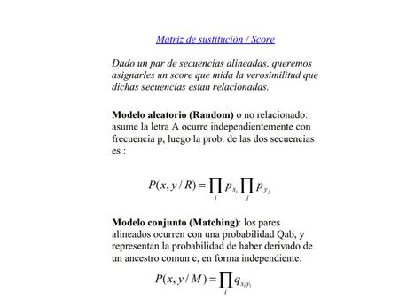 Ditribución del valor extremo Distribucion del maximo de N scores de matching de secuencias random independientes Si la probabilidad de este.