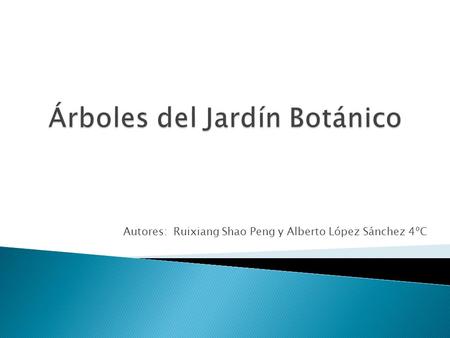 Autores: Ruixiang Shao Peng y Alberto López Sánchez 4ºC.