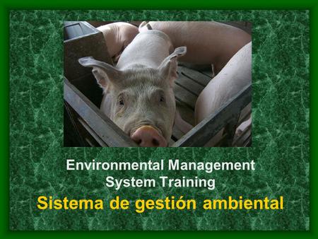 Environmental Management System Training Sistema de gestión ambiental.