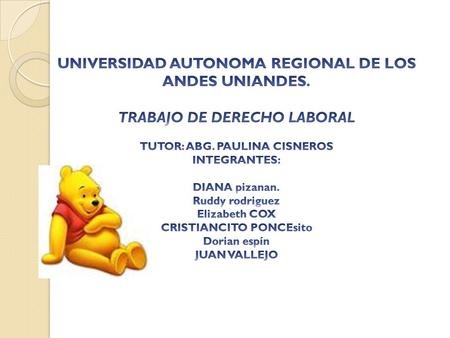 UNIVERSIDAD AUTONOMA REGIONAL DE LOS ANDES UNIANDES