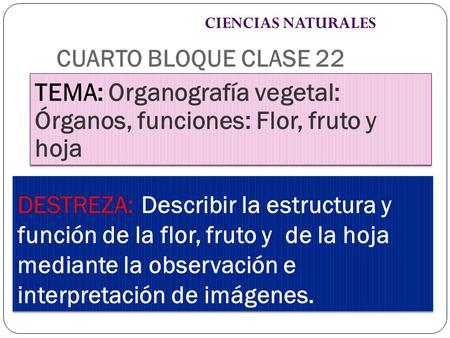 TEMA: Organografía vegetal: Órganos, funciones: Flor, fruto y hoja