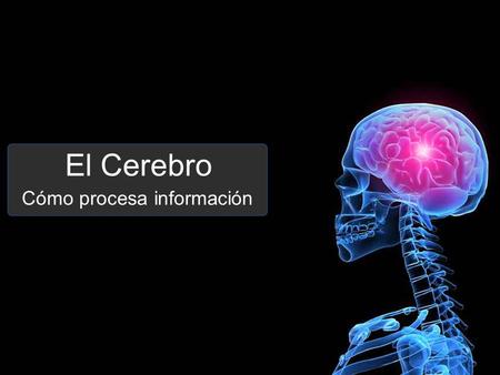 Cómo procesa información