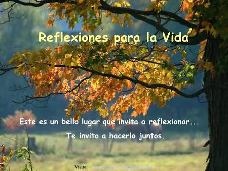 Este es un bello lugar que invita a reflexionar... Te invito a hacerlo juntos. Reflexiones para la Vida Visita: www.RenuevoDePlenitud.comwww.RenuevoDePlenitud.com.