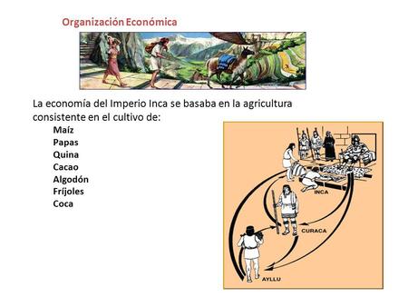 Organización Económica
