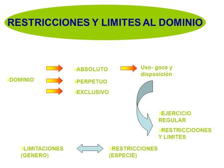 RESTRICCIONES Y LIMITES AL DOMINIO