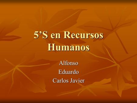 5’S en Recursos Humanos AlfonsoEduardo Carlos Javier.