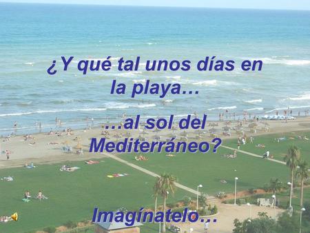 ¿Y qué tal unos días en la playa… …al sol del Mediterráneo? Imagínatelo…