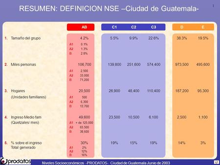 RESUMEN: DEFINICION NSE –Ciudad de Guatemala-