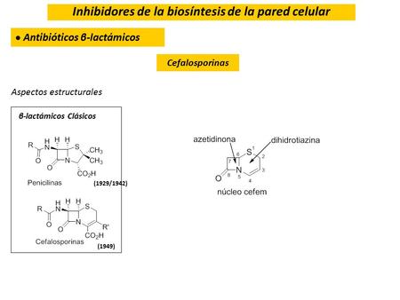 Inhibidores de la biosíntesis de la pared celular