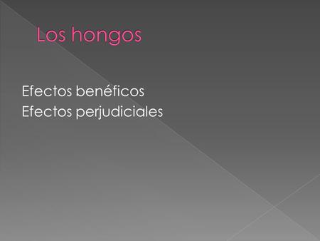 Los hongos Efectos benéficos Efectos perjudiciales.