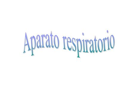 Aparato respiratorio.