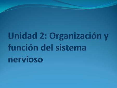 Unidad 2: Organización y función del sistema nervioso