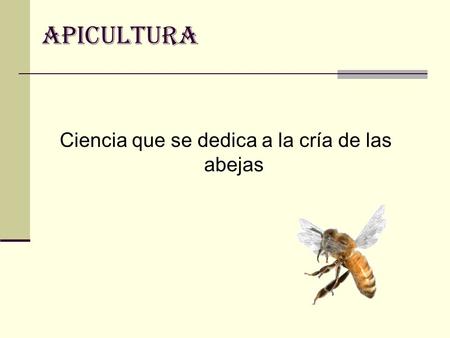 Ciencia que se dedica a la cría de las abejas