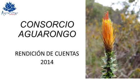 CONSORCIO AGUARONGO RENDICIÓN DE CUENTAS 2014. Área de Bosque y Vegetación Protector.