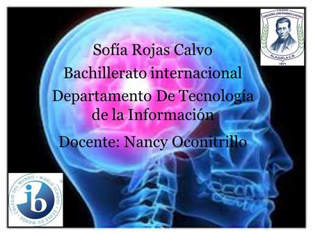 Sofía Rojas Calvo Bachillerato internacional Departamento De Tecnología de la Información Docente: Nancy Oconitrillo.