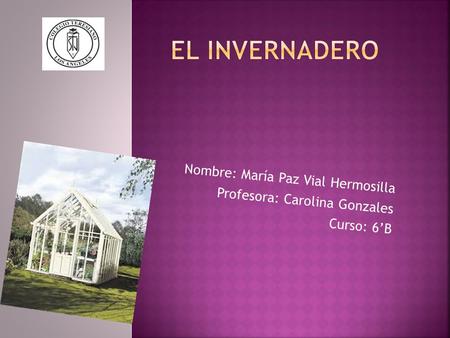 Nombre: María Paz Vial Hermosilla Profesora: Carolina Gonzales Curso: 6’B.