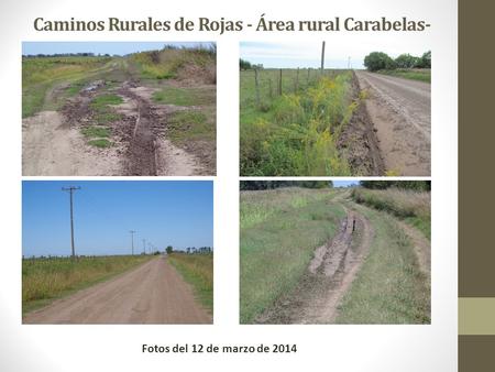 Caminos Rurales de Rojas - Área rural Carabelas- Fotos del 12 de marzo de 2014.