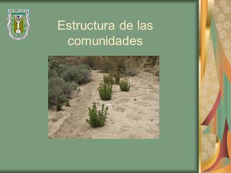 Estructura de las comunidades