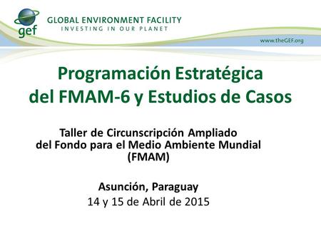 Programación Estratégica del FMAM-6 y Estudios de Casos Taller de Circunscripción Ampliado del Fondo para el Medio Ambiente Mundial (FMAM) Asunción, Paraguay.