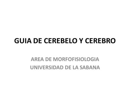 GUIA DE CEREBELO Y CEREBRO