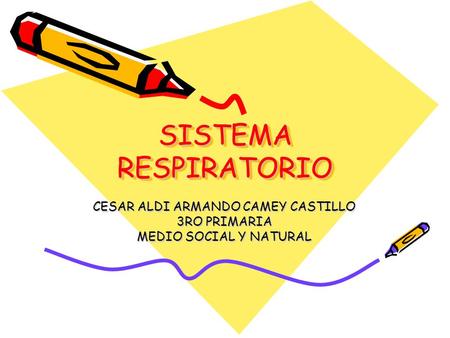CESAR ALDI ARMANDO CAMEY CASTILLO 3RO PRIMARIA MEDIO SOCIAL Y NATURAL