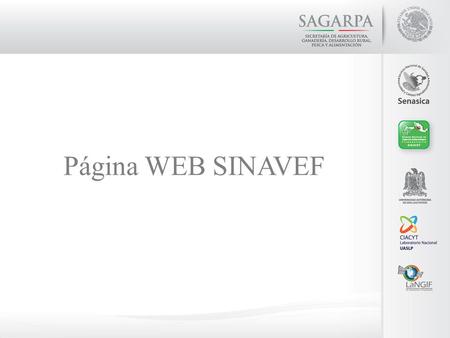 Página WEB SINAVEF. Sitio Público Durante el periodo de enero a diciembre del 2012 se reportaron 19512 visitas que es un 20.74% mas que en el periodo.