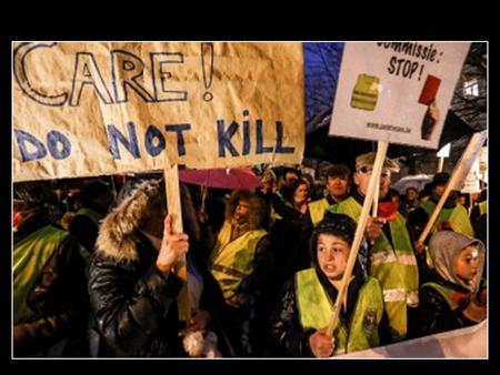 ‘ Los reyes y gobernantes se han unido en contra del Señor y del rey que él eligió. Y dicen: «¡Cortemos las ataduras que nos imponen y liberémonos de.