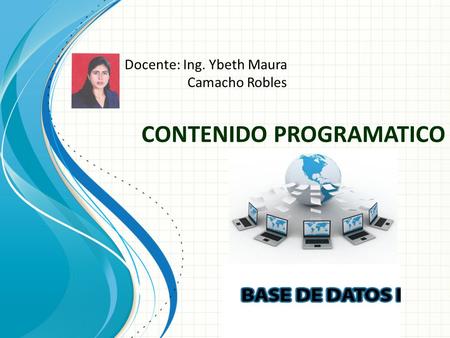 CONTENIDO PROGRAMATICO
