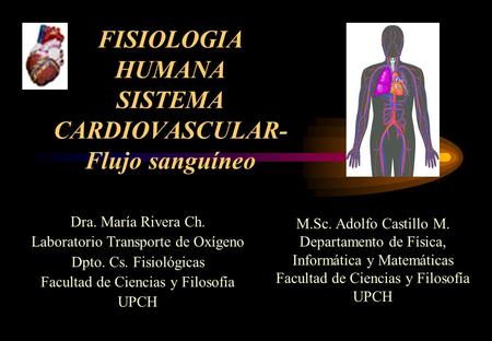 FISIOLOGIA HUMANA SISTEMA CARDIOVASCULAR-Flujo sanguíneo