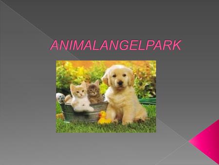 Animalangelpark Es un espacio amigable con el medio ambiente donde nuestros visitantes podrán encontrar información de utilidad a la hora de encontrar.