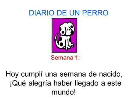 Hoy cumplí una semana de nacido,