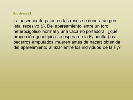 Problema 15 La ausencia de patas en las reses se debe a un gen letal recesivo (l). Del apareamiento entre un toro heterocigótico normal y una vaca no portadora,