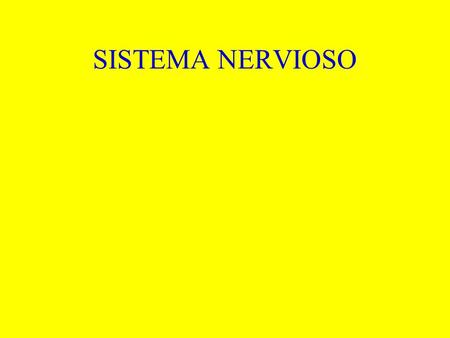 SISTEMA NERVIOSO.
