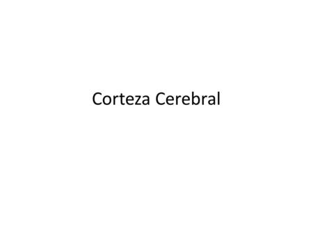 Corteza Cerebral.