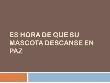 ES HORA DE QUE SU MASCOTA DESCANSE EN PAZ. Esto ya NO pasará Encontrar la tumba de tu mascota cada vez más acabada NO volverá a pasar.