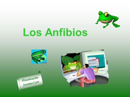 Los Anfibios Presentación Jeanine Carr. ¡Hola Pingry 4to grado! Bienvenidos a la clase de los anfibios de la Sra. Carr.