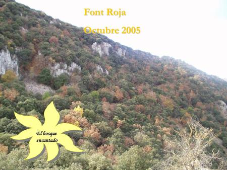 Font Roja Octubre 2005 El bosque encantado. Éramos pocos, así tocamos a más!
