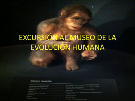 EXCURSIÓN AL MUSEO DE LA EVOLUCIÓN HUMANA Fuimos al Museo de la Evolución Humana el día 28 de enero del 2014, aprendimos mucho y nos lo pasamos muy bien.