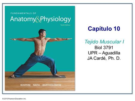 Capítulo 10 Tejido Muscular I Biol 3791 UPR – Aguadilla