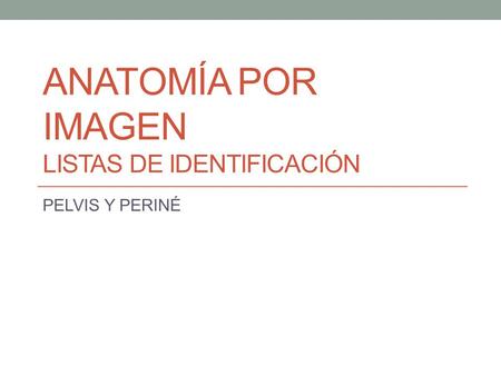 ANATOMÍA POR IMAGEN LISTAS DE IDENTIFICACIÓN