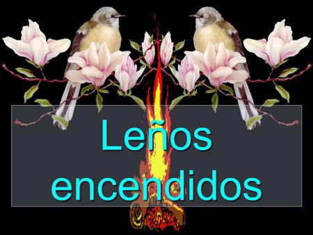 Leños encendidos Cuántos veranos pasados cuántos otoños venteados y cuántos sueños florecidos en mazorcas de luz ámbar encendida en los maizales.
