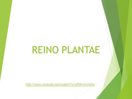 REINO PLANTAE http://www.youtube.com/watch?v=sRjH-kvIoWo.