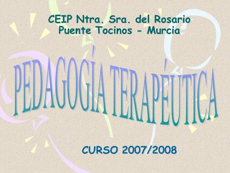 CEIP Ntra. Sra. del Rosario Puente Tocinos - Murcia CURSO 2007/2008.